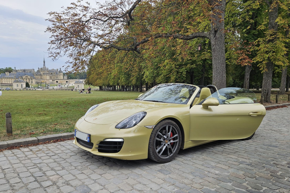 Boxster 981 lime gold metallic