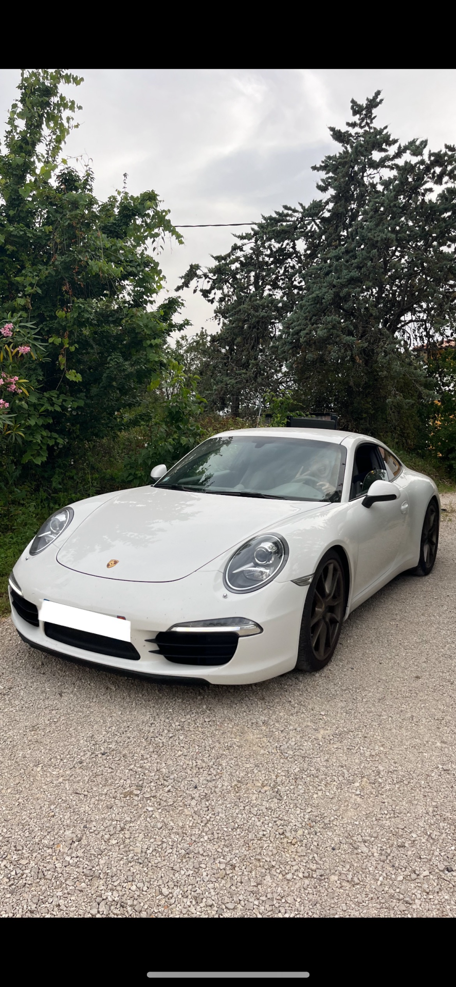 Porsche 991 Carrera (Porsche 991)